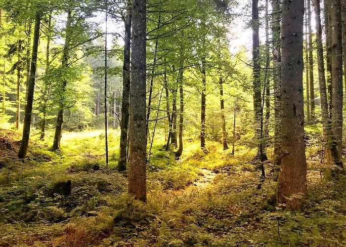 Ferienwohnung - Missen-Wilhams Allgäu