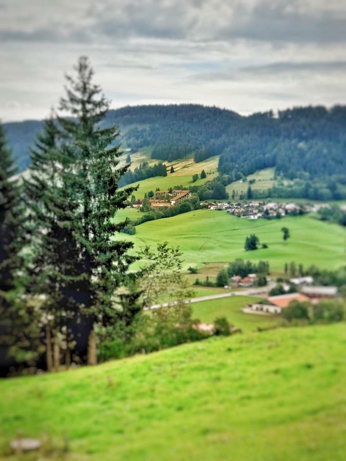 Apartment - Allgäu